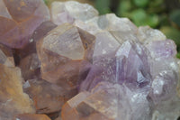 Natural Jacaranda Amethyst Cluster x 1 From Mumbwa, Zambia - TopRock