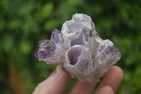 Natural Sugar Amethyst Clusters  x 6 From Solwezi, Zambia