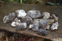 Natural Smokey Quartz Crystal Specimens x 12 From Mulanje, Malawi