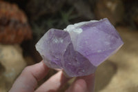 Natural Jacaranda Amethyst Clusters  x 3 From Mumbwa, Zambia - Toprock Gemstones and Minerals 