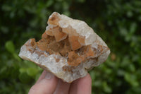 Natural Limonite Quartz Clusters x 12 From Solwezi, Zambia