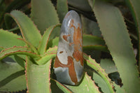 Polished Polychrome Jasper Standing Free Forms  x 3 From Madagascar