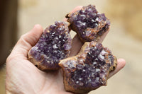 Natural Amethyst & Basalt Geode Specimens  x 24 From Zululand, South Africa - TopRock