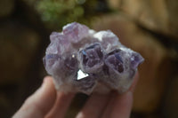 Natural Sugar Amethyst Clusters  x 4 From Solwezi, Zambia