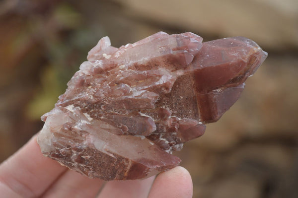 Natural Red Hematoid Quartz Specimens x 12 From Karoi, Zimbabwe