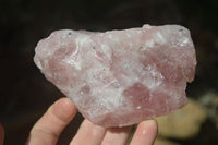 Natural Pink Rose Quartz Cobbed Specimens x 12 From Namibia