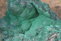 Natural Chatoyant Malachite On Matrix Specimen  x 1 From Congo