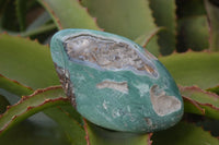 Polished Emerald Mtorolite Chrysoprase Free Forms  x 4 From Zimbabwe