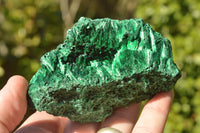 Natural Chatoyant Silky Malachite Specimens x 6 From Kasompe, Congo - TopRock