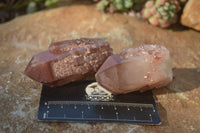 Natural Red Hematoid Quartz Specimens x 12 From Karoi, Zimbabwe