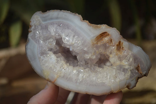 Polished Crystal Centred Agate Geodes  x 5 From Madagascar