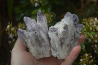 Natural Sugar Amethyst Clusters  x 6 From Solwezi, Zambia