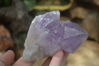 Natural Jacaranda Amethyst Clusters  x 3 From Mumbwa, Zambia - Toprock Gemstones and Minerals 