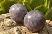 Polished Dark Purple Lepidolite Spheres  x 6 From Madagascar - TopRock