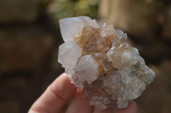 Natural Cactus Flower Spirit Quartz Specimens x 12 From Boekenhouthoek, South Africa