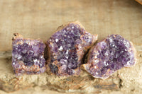 Natural Amethyst & Basalt Geode Specimens  x 24 From Zululand, South Africa - TopRock