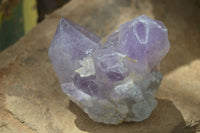 Natural Jacaranda Amethyst Clusters  x 3 From Mumbwa, Zambia - Toprock Gemstones and Minerals 