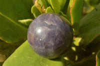 Polished Dark Purple Lepidolite Spheres  x 6 From Madagascar - TopRock