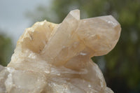 Natural Quartz Crystal Clusters  x 2 From Karoi, Zimbabwe - TopRock