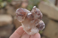 Natural Red Hematoid Quartz Specimens x 12 From Karoi, Zimbabwe