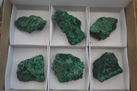 Natural Chatoyant Silky Malachite Specimens  x 6 From Kasompe, Congo - TopRock