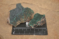 Natural Micro Botryoidal Crystalline Malachite Specimens  x 19 From Tenke Fungurume, Congo - TopRock