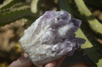 Natural Sugar Amethyst Clusters  x 4 From Solwezi, Zambia