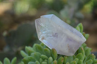 Natural Clear Quartz Crystals With Hints Of Amethyst  x 12 From Brandberg, Namibia - Toprock Gemstones and Minerals 