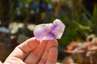 Polished Stunning Selection Of Skeletal Smokey Amethyst Quartz Crystals  x 12 From Akansobe, Madagascar - TopRock