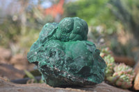 Natural Chatoyant Malachite On Matrix Specimen  x 1 From Congo