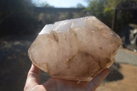 Polished Double Terminated Smokey Quartz Stepped Crystal x 1 From Madagascar