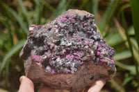 Natural Salrose Cobaltion Dolomite Specimen x 1 From Kakanda, Congo - TopRock