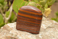 Polished Banded Tiger Iron / Muggle Stone Standing Free Forms  x 3 From Northern Cape, South Africa - TopRock