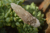 Natural Drusy Quartz Coated Calcite Crystals  x 20 From Alberts Mountain, Lesotho - Toprock Gemstones and Minerals 