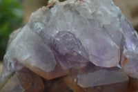 Natural Jacaranda Amethyst Cluster x 1 From Mumbwa, Zambia - TopRock