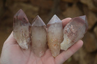 Natural Red Hematoid Quartz Specimens x 12 From Karoi, Zimbabwe