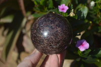 Polished Pyrope Red Garnet Spheres  x 2 From Madagascar