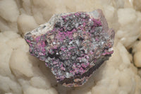 Natural Salrose Cobaltion Dolomite Specimen x 1 From Kakanda, Congo - TopRock