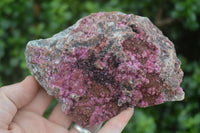 Natural Extra Large Salrose Cobaltion Dolomite Specimens x 2 From Kakanda, Congo - Toprock Gemstones and Minerals 