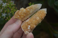 Natural White & Golden Limonite Spirit Quartz Crystals  x 20 From Boekenhouthoek, South Africa - Toprock Gemstones and Minerals 