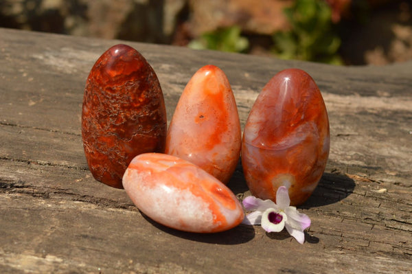 Polished Light Contrasting and Dark Carnelian Agate Standing Free Forms  x 4 From Madagascar - TopRock