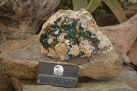 Natural Rare Ball Malachite On Golden Limonite Quartz & Dolomite Specimen x 1 From Kambove, Congo