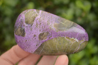 Polished Stichtite & Serpentine Free Forms With Silky Purple Threads x 6 From Barberton, South Africa