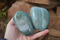 Polished Emerald Mtorolite Chrysoprase Free Forms  x 4 From Zimbabwe