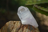 Natural Clear Quartz Crystals With Hints Of Amethyst  x 12 From Brandberg, Namibia - Toprock Gemstones and Minerals 