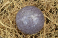 Polished Dark Purple Lepidolite Spheres  x 6 From Madagascar - TopRock