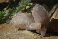 Natural Grey & Red Hematoid Quartz Specimens x 6 From Karoi, Zimbabwe