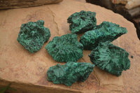 Natural Chatoyant Silky Malachite Specimens  x 6 From Kasompe, Congo - TopRock