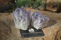 Natural Sugar Amethyst Clusters  x 4 From Solwezi, Zambia