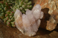 Natural Pale Lilac Spirit Quartz Clusters x 12 From Boekenhouthoek, South Africa